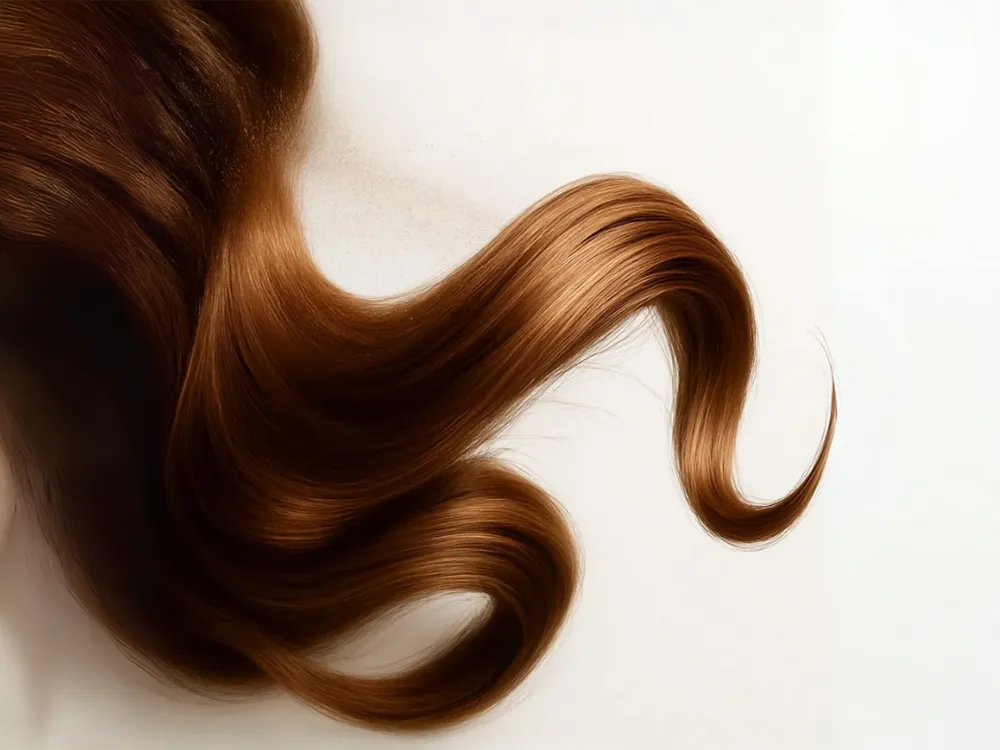 Wavy brown hair on a white background